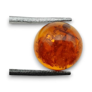 Baltic amber cabochon fi 10 mm no 753