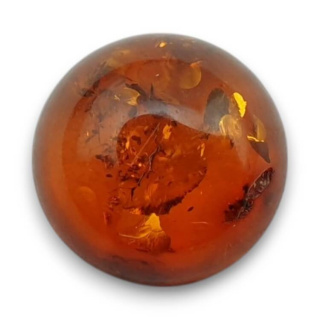 Baltic amber cabochon fi 10 mm no 758