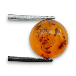 Baltic amber cabochon fi 10 mm no 758