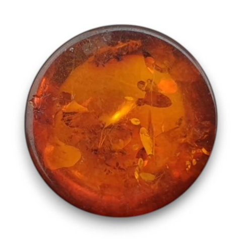 Baltic amber cabochon fi 10 mm no 758 Baltic amber cabochon fi 10 mm no 758
