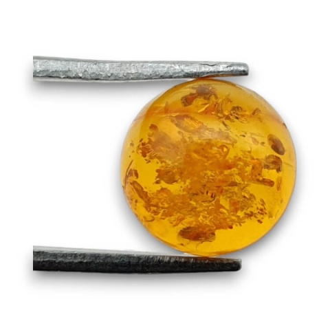 Baltic amber cabochon dia. 10 mm no 763 Baltic amber cabochon dia. 10 mm no 763