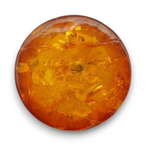 Baltic amber cabochon dia. 10 mm no 763 Baltic amber cabochon dia. 10 mm no 763