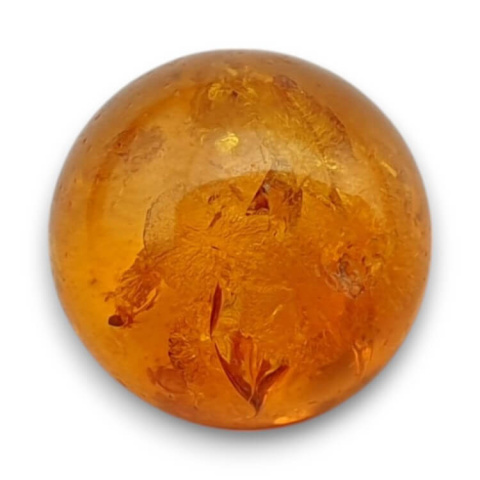 Baltic amber cabochon dia. 10 mm no 765 Baltic amber cabochon dia. 10 mm no 765