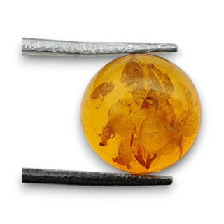 Baltic amber cabochon fi 10 mm no 765