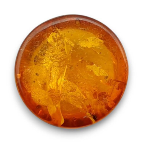 Baltic amber cabochon dia. 10 mm no 765 Baltic amber cabochon dia. 10 mm no 765