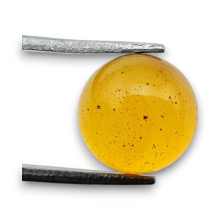 Baltic amber cabochon fi 10 mm no 768