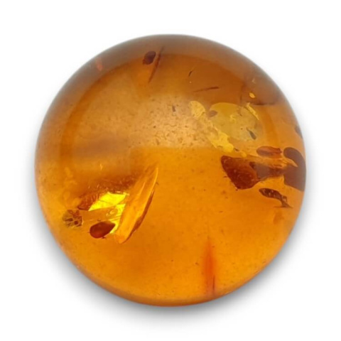 Baltic amber cabochon dia. 16 mm no 769 Baltic amber cabochon dia. 16 mm no 769