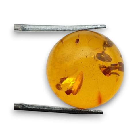 Baltic amber cabochon dia. 16 mm no 769 Baltic amber cabochon dia. 16 mm no 769