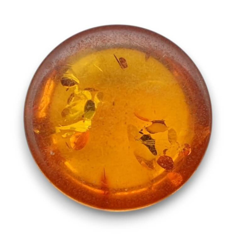 Baltic amber cabochon dia. 16 mm no 769 Baltic amber cabochon dia. 16 mm no 769