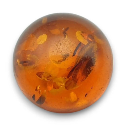 Baltic amber cabochon dia. 16 mm no 771 Baltic amber cabochon dia. 16 mm no 771