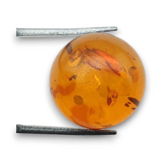 Baltic amber cabochon fi 16 mm no 771