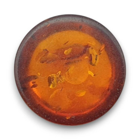 Baltic amber cabochon dia. 16 mm no 771 Baltic amber cabochon dia. 16 mm no 771