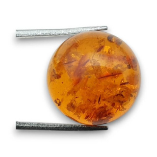 Baltic amber cabochon fi 16 mm no 773
