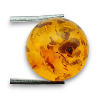 Baltic amber cabochon fi 16 mm no 777