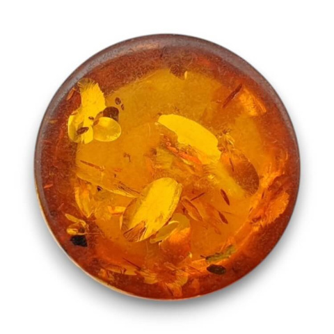 Baltic amber cabochon dia. 16 mm no 777 Baltic amber cabochon dia. 16 mm no 777
