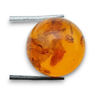 Baltic amber cabochon fi 16 mm no 779