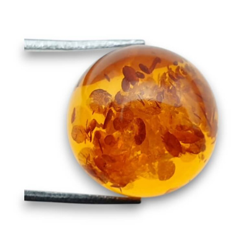 Baltic amber cabochon fi 17 mm no. 742 Baltic amber cabochon fi 17 mm no. 742