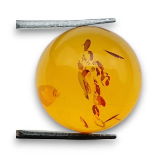 Baltic amber cabochon fi 18 mm no 743