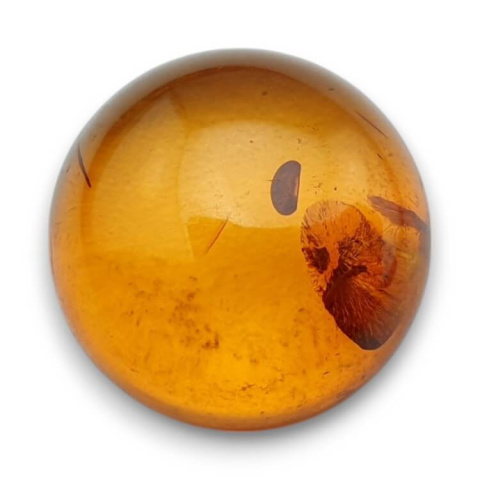 Baltic amber cabochon fi 18 mm no. 745 Baltic amber cabochon fi 18 mm no. 745