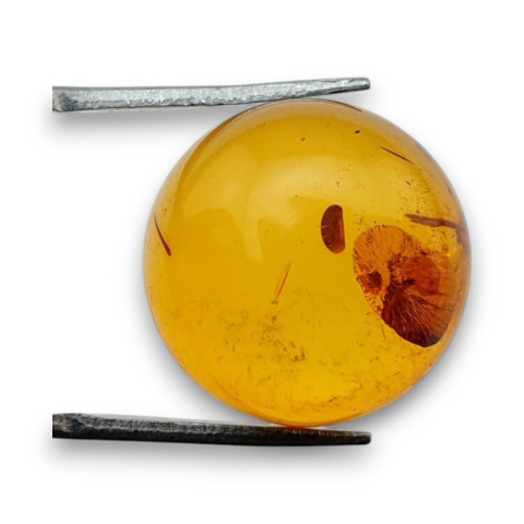 Baltic amber cabochon fi 18 mm no. 745 Baltic amber cabochon fi 18 mm no. 745
