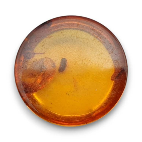 Baltic amber cabochon fi 18 mm no. 745 Baltic amber cabochon fi 18 mm no. 745