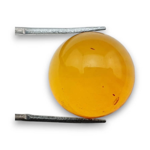 Baltic amber cabochon fi 18 mm no 746 Baltic amber cabochon fi 18 mm no 746