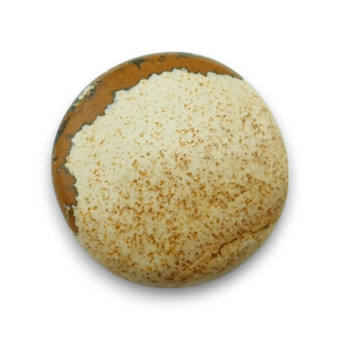 Picture jasper cabochon fi 25 mm no 51 Picture jasper cabochon fi 25 mm no 51
