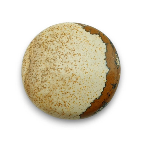 Picture jasper cabochon fi 25 mm no 51 Picture jasper cabochon fi 25 mm no 51
