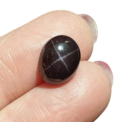 Star garnet cabochon 11x9 mm no 100 Star garnet cabochon 11x9 mm no 100