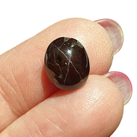 Star garnet cabochon 11x9 mm no 106 Star garnet cabochon 11x9 mm no 106