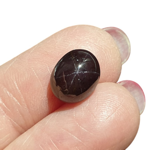 Star garnet cabochon 11x9 mm no 92 Star garnet cabochon 11x9 mm no 92