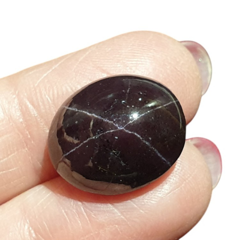 Star garnet cabochon 18x15 mm no 86 Star garnet cabochon 18x15 mm no 86