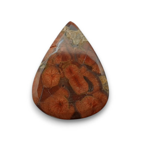 Obsidian walnut cabochon 24x19 mm no. 32 Obsidian walnut cabochon 24x19 mm no. 32