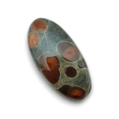 Obsidian walnut cabochon 32x16 mm no. 11 Obsidian walnut cabochon 32x16 mm no. 11