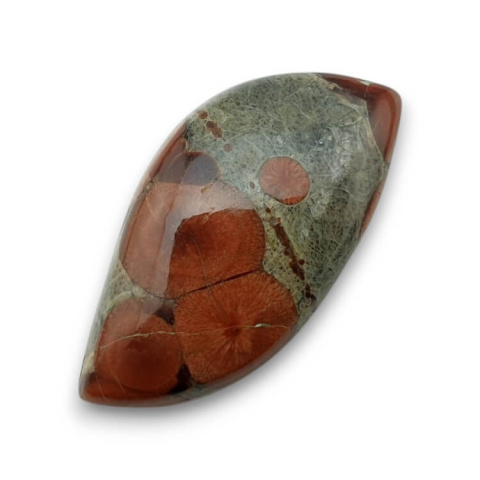 Obsidian walnut cabochon 34x18 mm no 16 Obsidian walnut cabochon 34x18 mm no 16