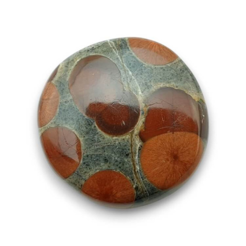 Obsidian walnut cabochon fi 26 mm no 7 Obsidian walnut cabochon fi 26 mm no 7
