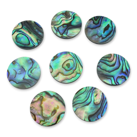 Paua abalone kaboszon fi 15 mm 1 szt. Paua abalone kaboszon fi 15 mm 1 szt.
