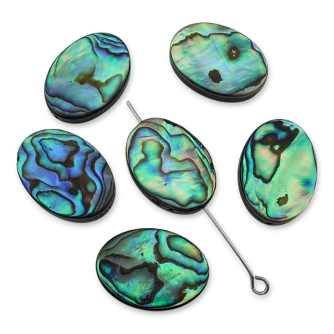 Paua abalone oval with hole 14x10 mm 1 pc. Paua abalone oval with hole 14x10 mm 1 pc.