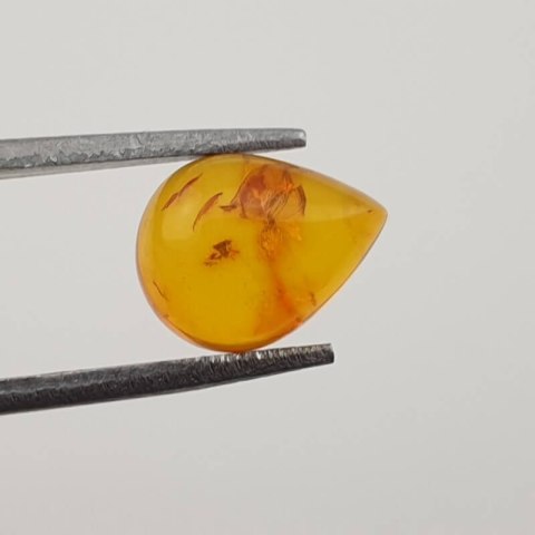 Baltic amber cabochon 9x7 mm no 407 Baltic amber cabochon 9x7 mm no 407
