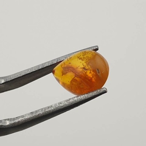 Baltic amber cabochon 9x7 mm no 411 Baltic amber cabochon 9x7 mm no 411