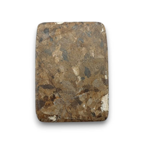 Bronzite cabochon 23x17 mm no 49 Bronzite cabochon 23x17 mm no 49
