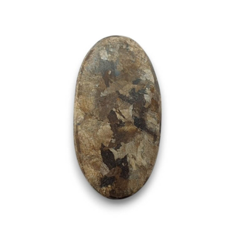 Bronzite cabochon 25x13 mm no 53 Bronzite cabochon 25x13 mm no 53