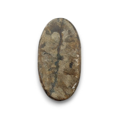 Bronzite cabochon 25x13 mm no. 58 Bronzite cabochon 25x13 mm no. 58