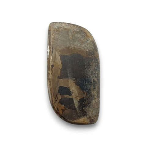 Bronzite cabochon 25x13 mm no. 62 Bronzite cabochon 25x13 mm no. 62
