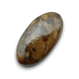 Bronzite cabochon 25x13 mm no 79