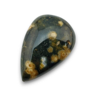 Jaspis oceaniczny kaboszon 23x15 mm nr 148
