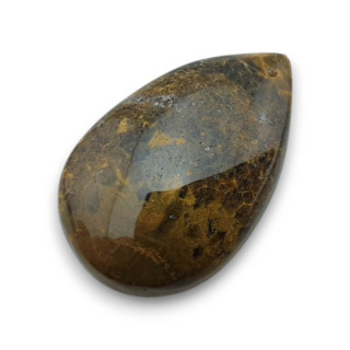 Jaspis oceaniczny kaboszon 24x16 mm nr 145