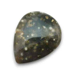 Jaspis oceaniczny kaboszon 24x19 mm nr 77