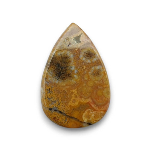 Ocean jasper cabochon 26x17 mm no 64 Ocean jasper cabochon 26x17 mm no 64