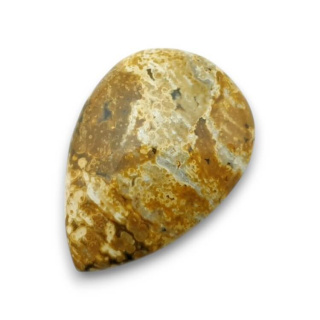 Jaspis oceaniczny kaboszon 26x18 mm nr 99